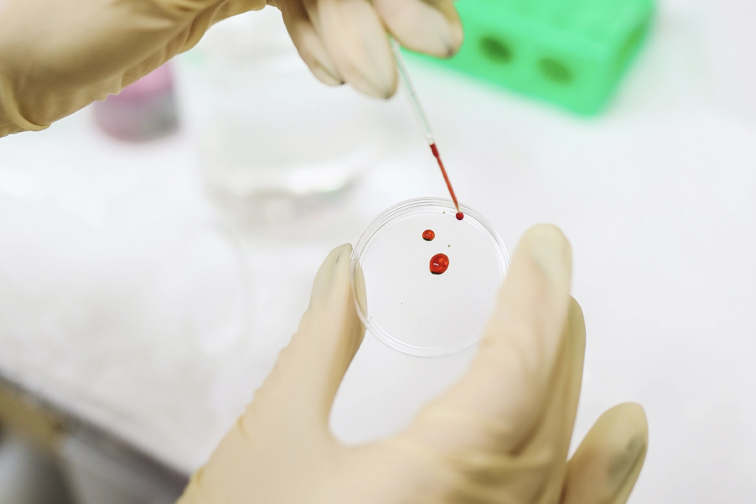 red drops of liquid being placed on a petri dish